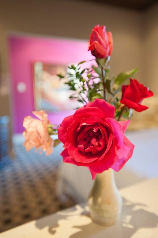 Karoo Art Hotel Баридейл Екстериор снимка
